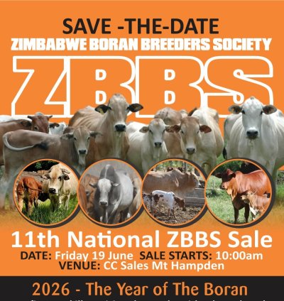 11th National ZBBS Sale