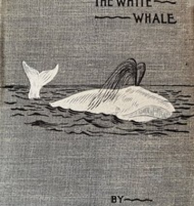 Moby Dick